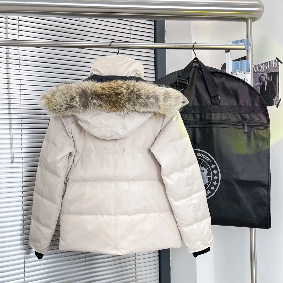 P720 29 models - off-white